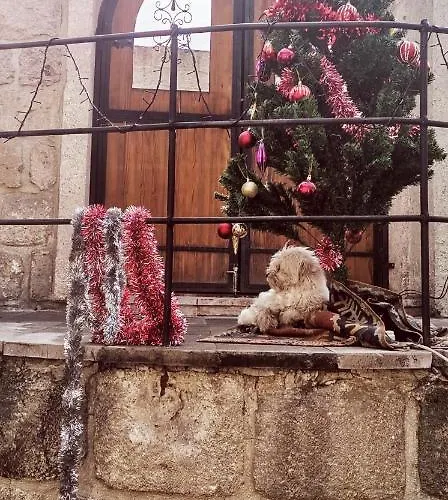 Salkim Cave House Hotel Göreme